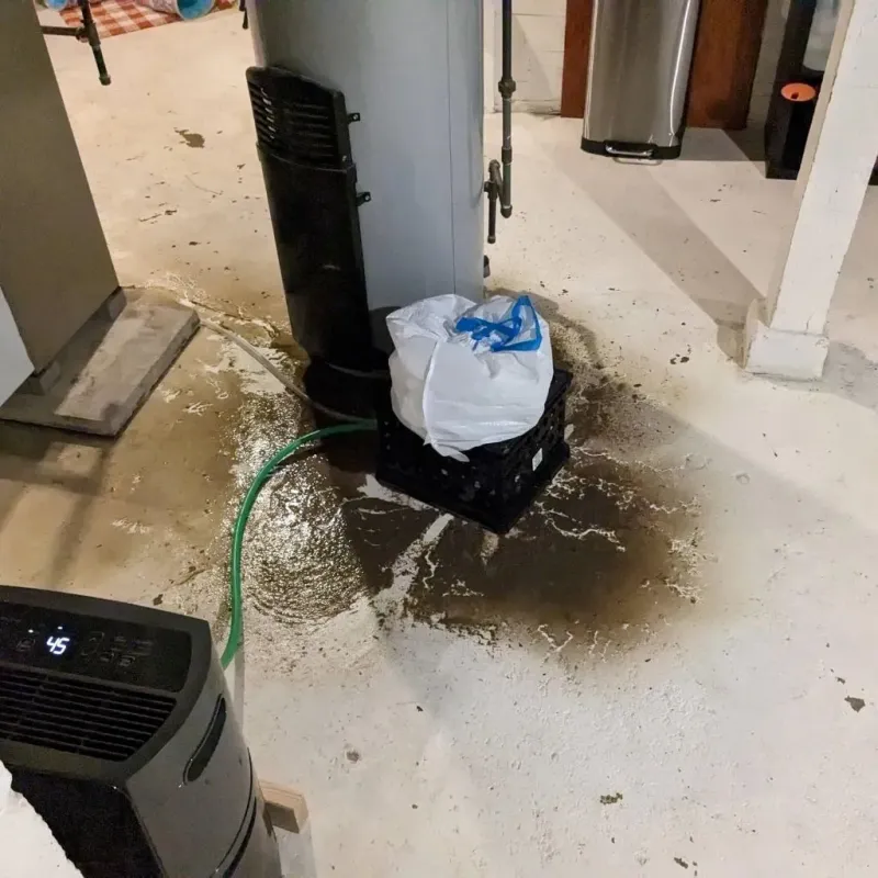 Sewage Backup Cleanup Service in Orosi, CA